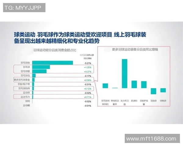 重庆羽毛球队个人能力表现的数据分析与提升策略探讨